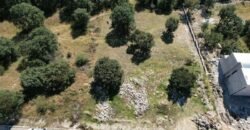 Terreno Quintas Ecuestres de Harás de Bosque