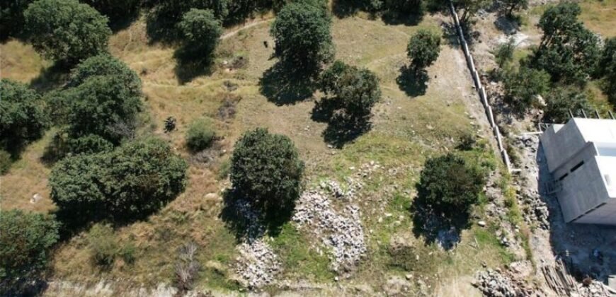 Terreno Quintas Ecuestres de Harás de Bosque